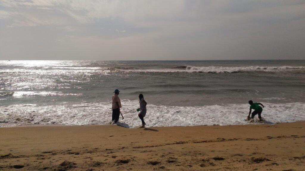 A wide view of Butterfly beach which is one of the "South Goa Beach"