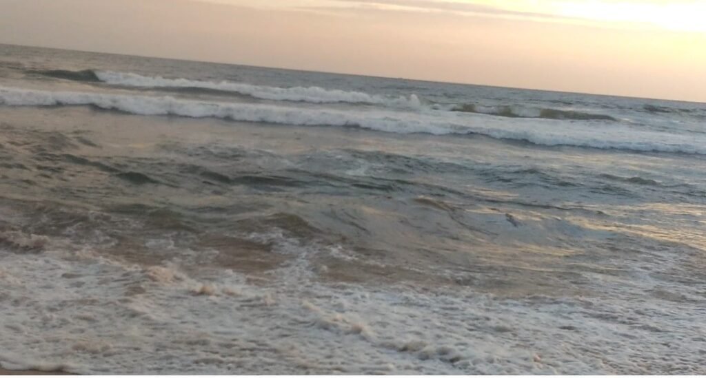 waves of south Goa beach,"butterfly beach"